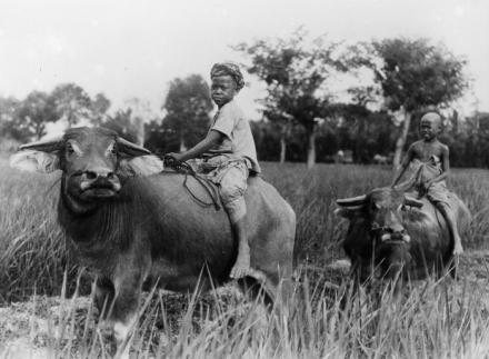 SEJARAH PEMERINTAHAN DESA SETELAH KEMERDEKAAN